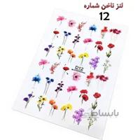 لنز ناخن D12