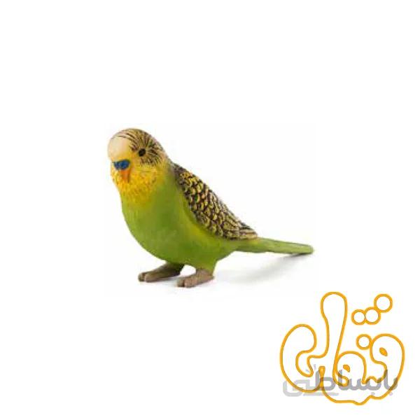 مرغ عشق سبز Budgerigar Green 387262