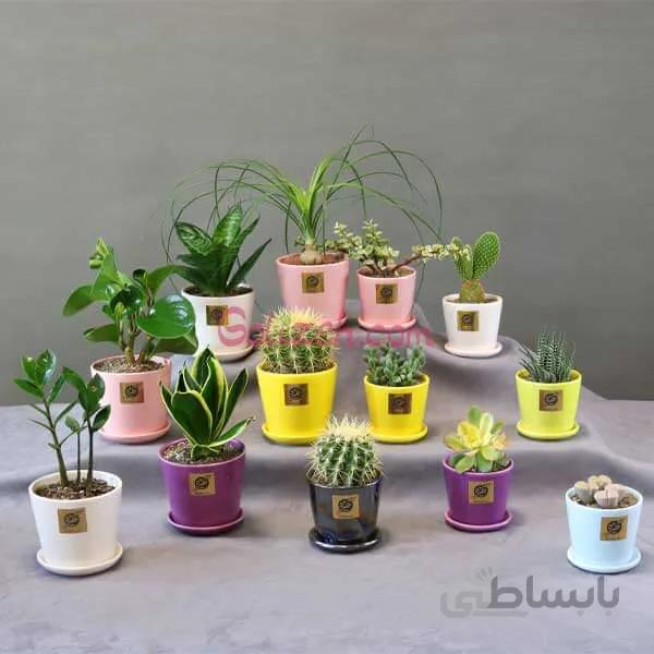هدیه تبلیغاتی رنگارنگ