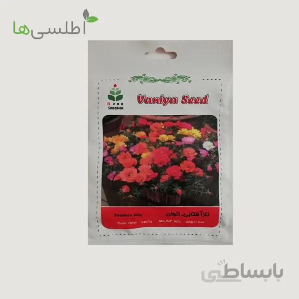 بذر ناز آفتابی