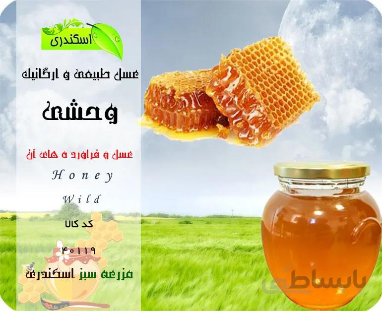 عسل وحشی طبیعی و ارگانیک