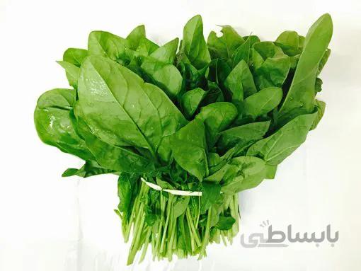 بذر اسفناج تیغ دار بسته 100 عددی