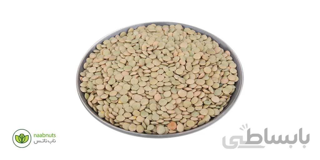 عدس اردبیل