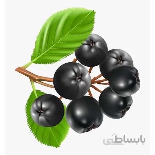 بذر هاکلبری