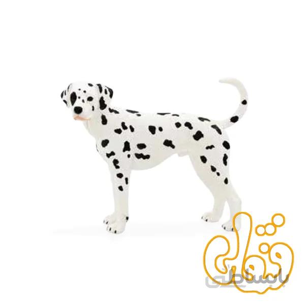 سگ دالماسی بزرگ Dalmatian 387248