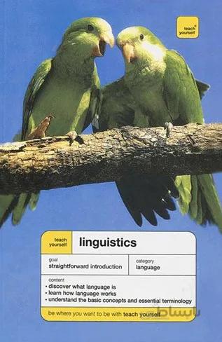 Linguistics Teach Yourself