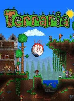 سی دی کی اورجینال Terraria