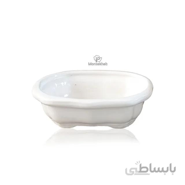 گلدان سرامیکی طرح بنسای سفید