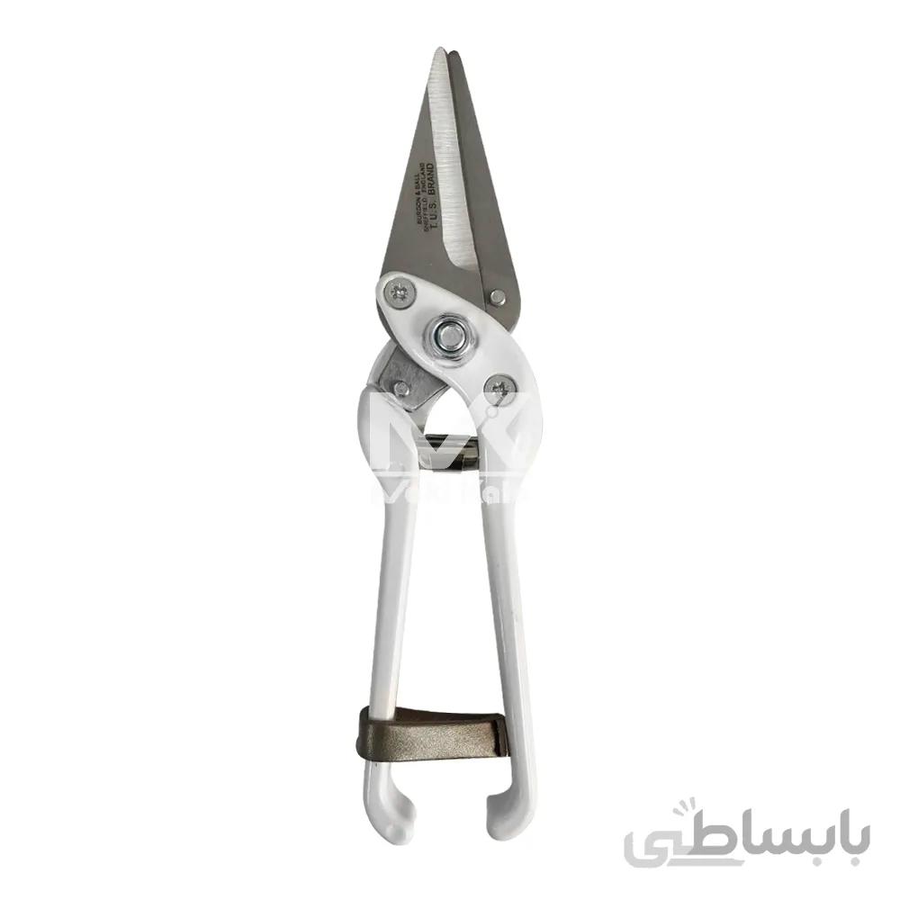 سم چین گوسفندی بورگن