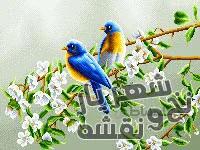 نخ و نقشه تابلو فرش طرح پرنده کد h-6305