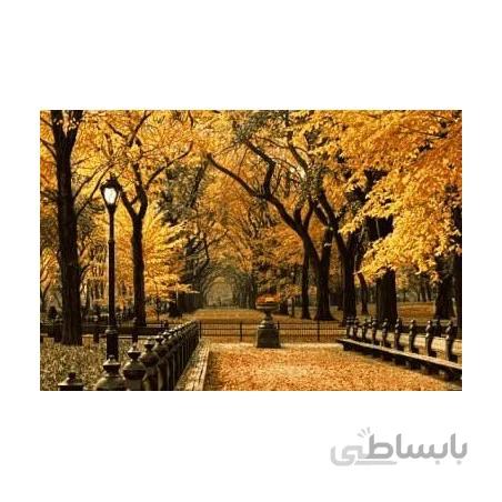 نخ و نقشه آموزشی تابلو فرش کد 46