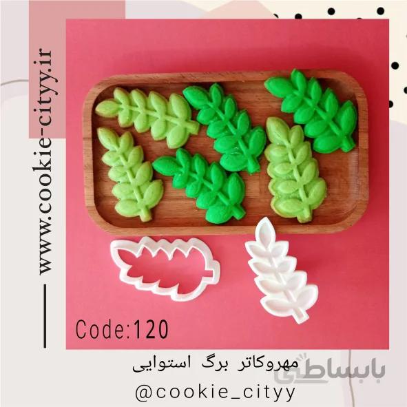 مهر و کاتر برگ استوایی