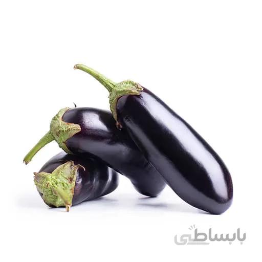 بذر بادمجان سیاه زیبا