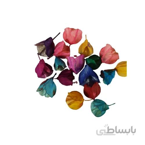 پک گل خشک لاله ی ریز رنگی
