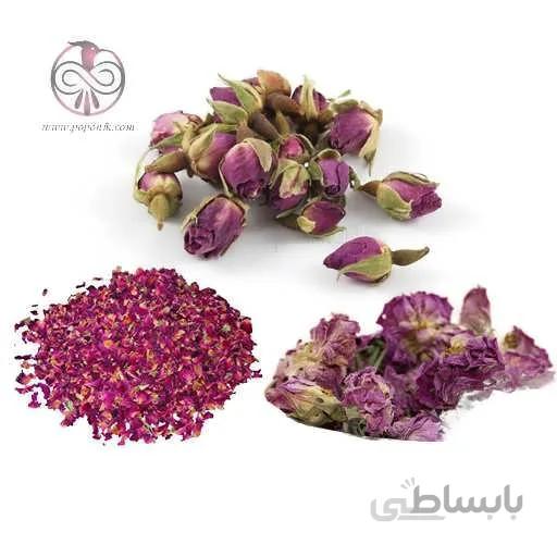 گل سرخ (گل محمدی)