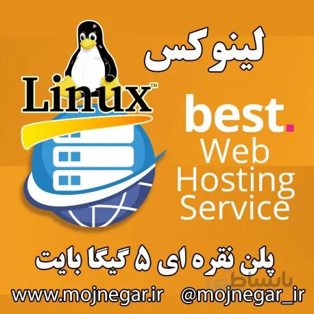 هاست نقره ای 5 گیگا بایت لینوکس