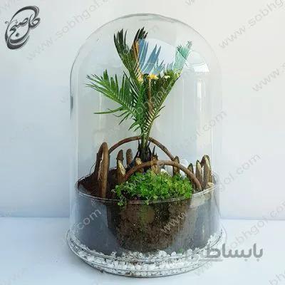 خرید گل آنلاین – تراریوم سیکاس طرح T-061