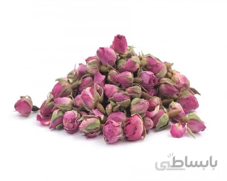 غنچه گل محمدی ممتاز