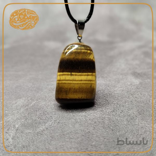 مدال چشم ببر