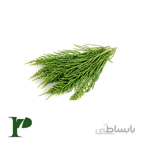 گیاه دم اسبی بسته‌ی 100 گرمی