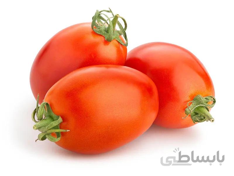 بذر گوجه فرنگی سالوادور هیبرید فوق پربار فضای آزاد بسته 10 عددی