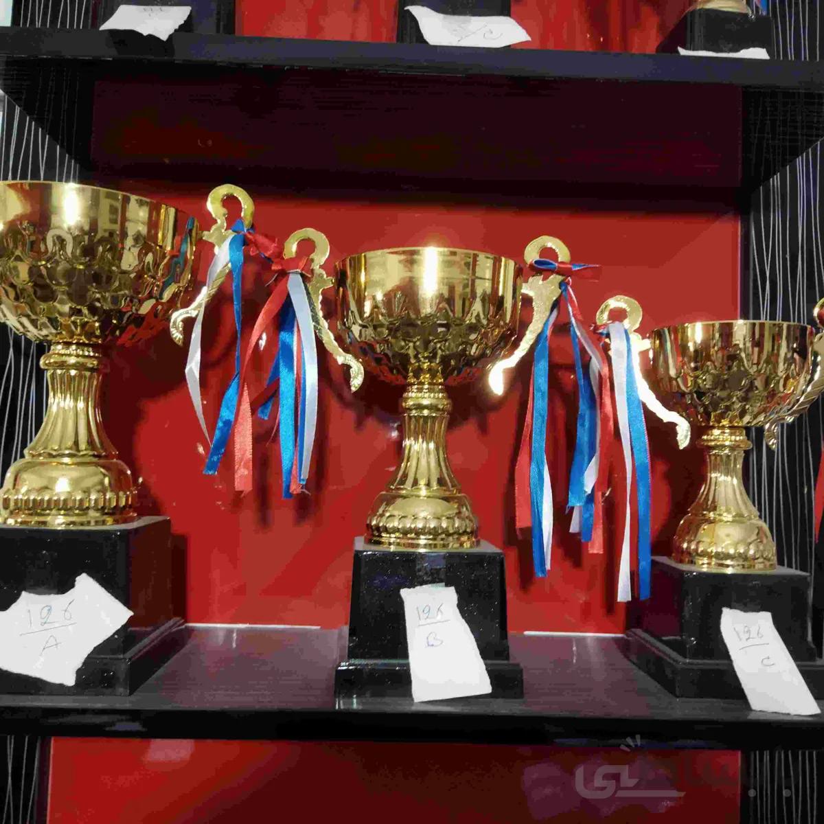 کاپ قهرمانی