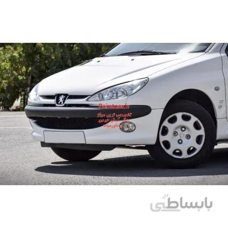 پک خشگیری و ترمیم رنگ اتومبیل پژو 206 سفیدکد رنگ 29020R