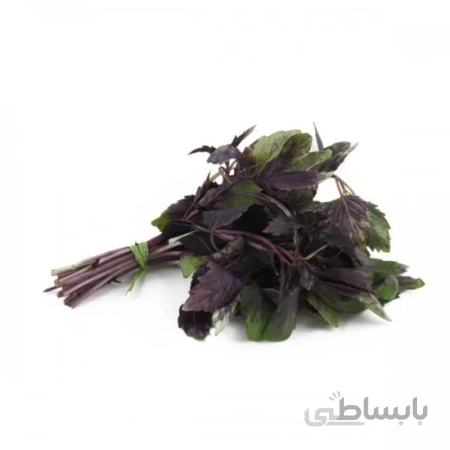 بذر ریحان بنفش بسته ۱۲ گرمی