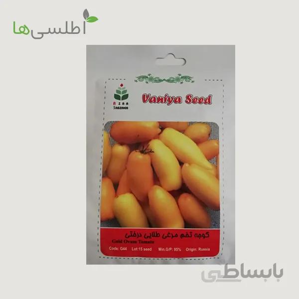 بذر گوجه تخم مرغی