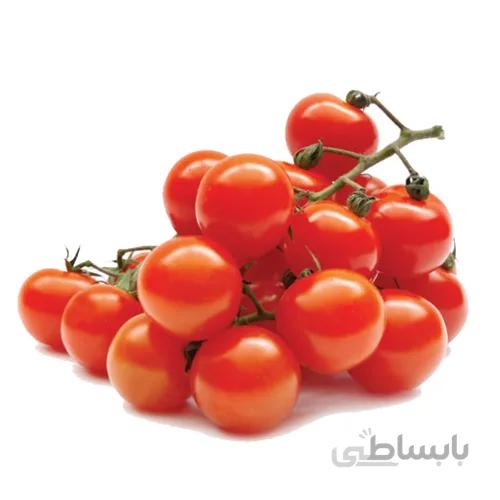 بذر گوجه فرنگی گیلاسی گلدانی(مینی)