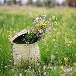 گلدان باکس طرح نار