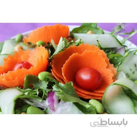 تراش و پوست کن میوه و سبزیجات