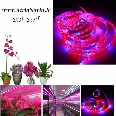 ریسه نواری رشد گیاه ، چراغ رشد گیاه ( Grow Light )