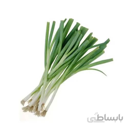 بذر پیازچه همیشه سبز نبوکا