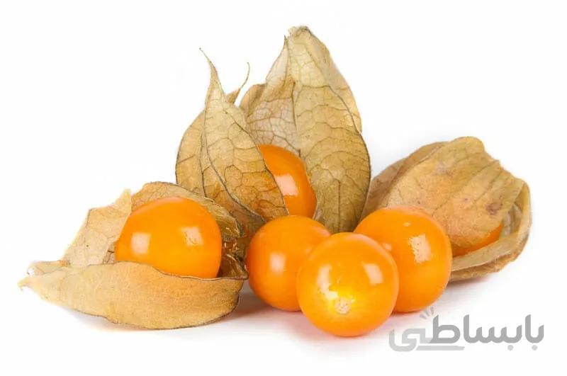 بذر اورجینال میوه فیسالیس ( گوجه پوست دار )