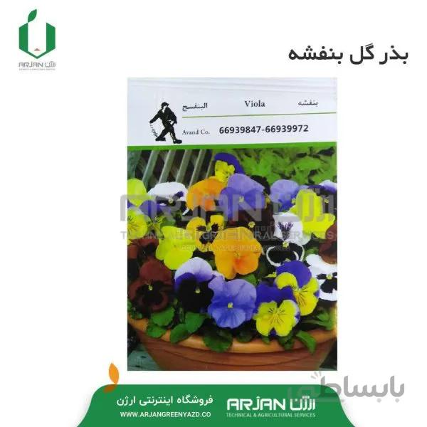 بذر گل بنفشه