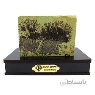 سنگ شجر فسیلی (دندریتی ) کد 2596 ا قیمت به شرط خرید تیمی