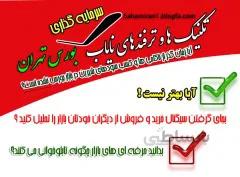 تکنیک ها و ترفندهای نایاب بورس تهران