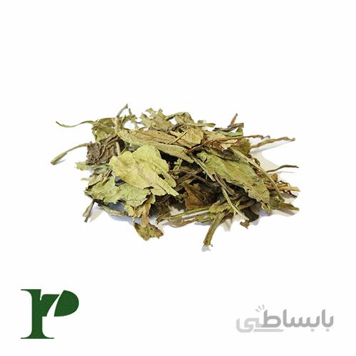 برگ کاسنی بسته‌ی 100 گرمی