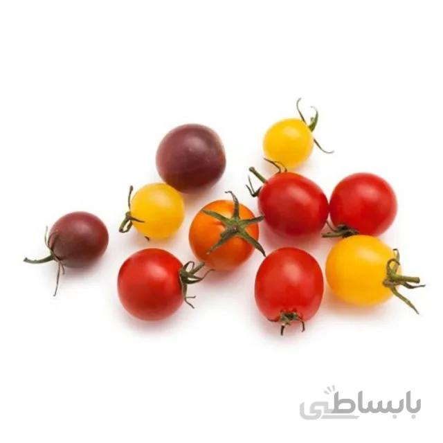 بذر گوجه چری میکس بسته ۱۰ عددی