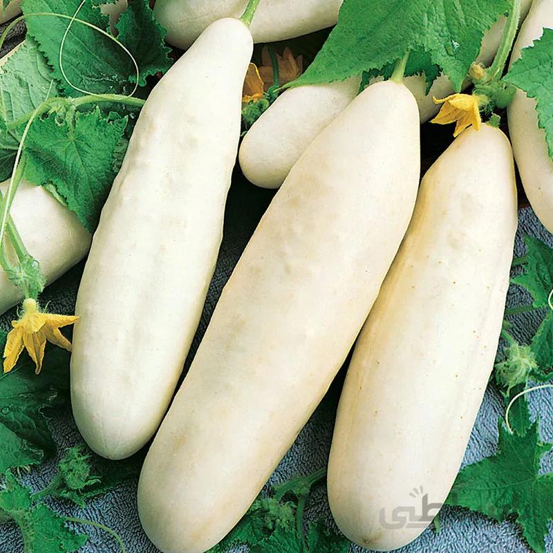 بذرخیار خاردار سفید معطر ایتالیایی بسته 10 عددی