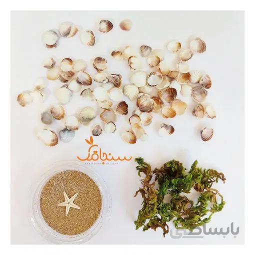 پک دریایی شماره ۳