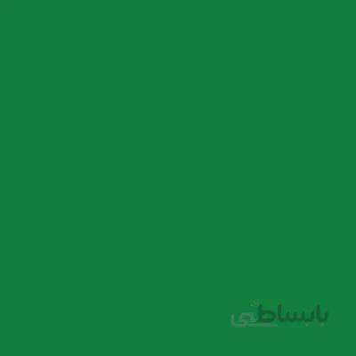 رنگ پارچه ستاکالر Opaque مات 45ml پ ب او Leaf Green (082) -10311
