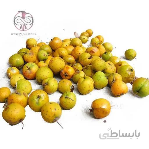 نهال زالزالك پيوندی