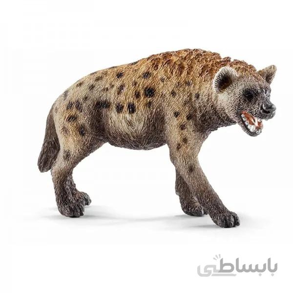 کفتار اشلایش 14735