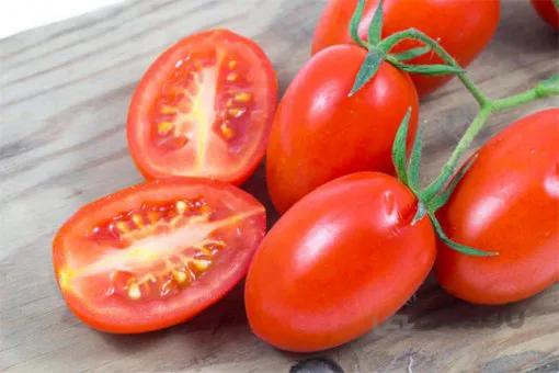 بذر گوجه فرنگی زیتونی خوشه ای عناب قرمز آلمانی بسته 10 عددی