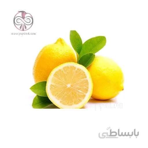 نهال ليمو ترش سنگی جنوب