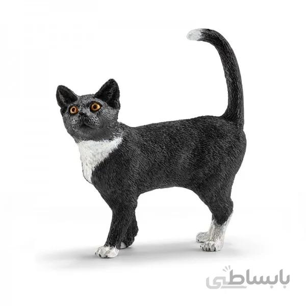 گربه سیاه اشلایش 13770