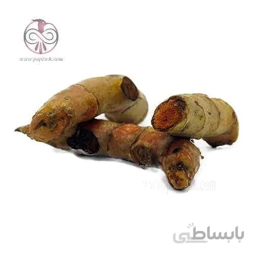 ریزوم زرد چوبه