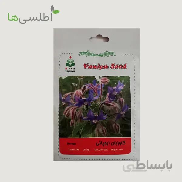 بذر گاوزبان